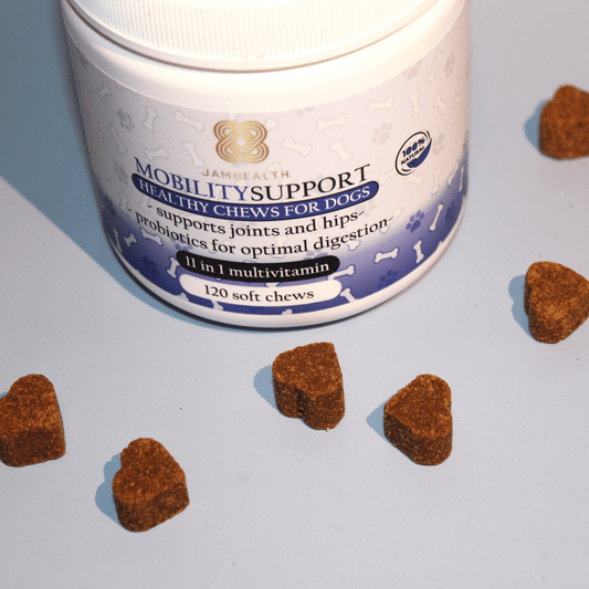 Het Beste Supplement voor Artrose bij Honden: Een Gids